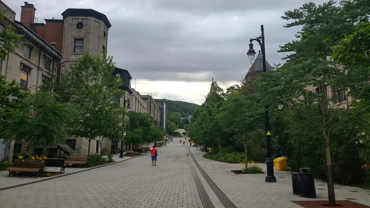 Rue piétonne urbaine bordée d’arbres et de bâtiments en pierre, ambiance locale